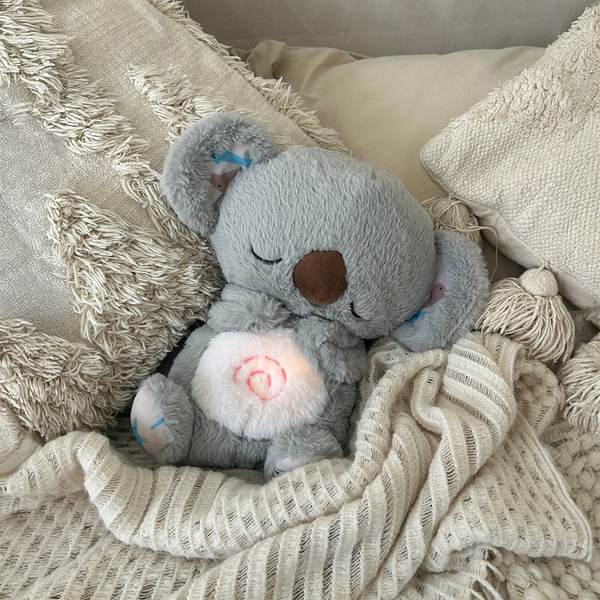 LionTeddy Comfort Buddy