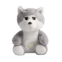 Gray Husky