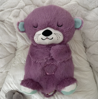 Purple Otter