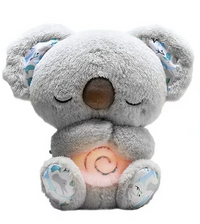 Baby Koala